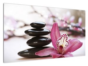 Obraz masážních kamenů a orchidee