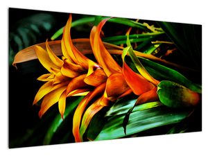Schilderij - Oranje bos bloemen