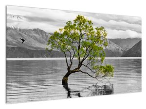 Obraz stromu uprostred jazera