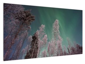 Tablou cu aurora borealis deasupra pomilor înghețați