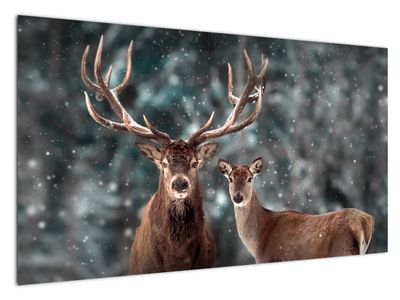 Obraz - Jeleń i łania w zaśnieżonym lesie