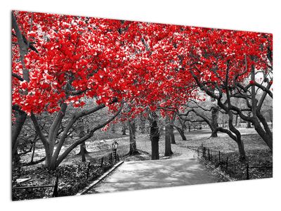 Tablou - Copaci roșii, Central Park, New York