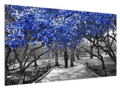 Schilderij - Blauwe bomen, Central Park, New York