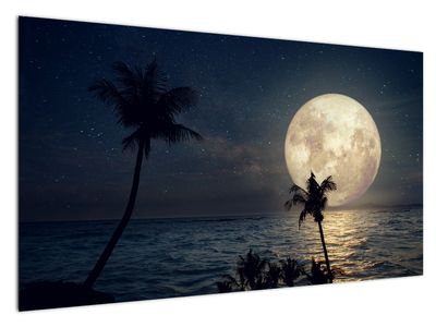 Obraz - Plaża pod pełnią księżyca