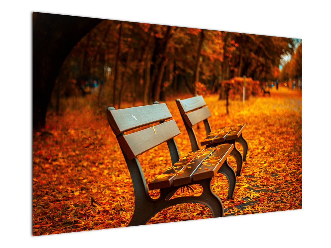Obraz lavičky v podzimu (V020588V12080)