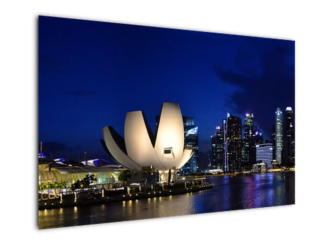 Obraz nočního Singapouru (V020610V12080)