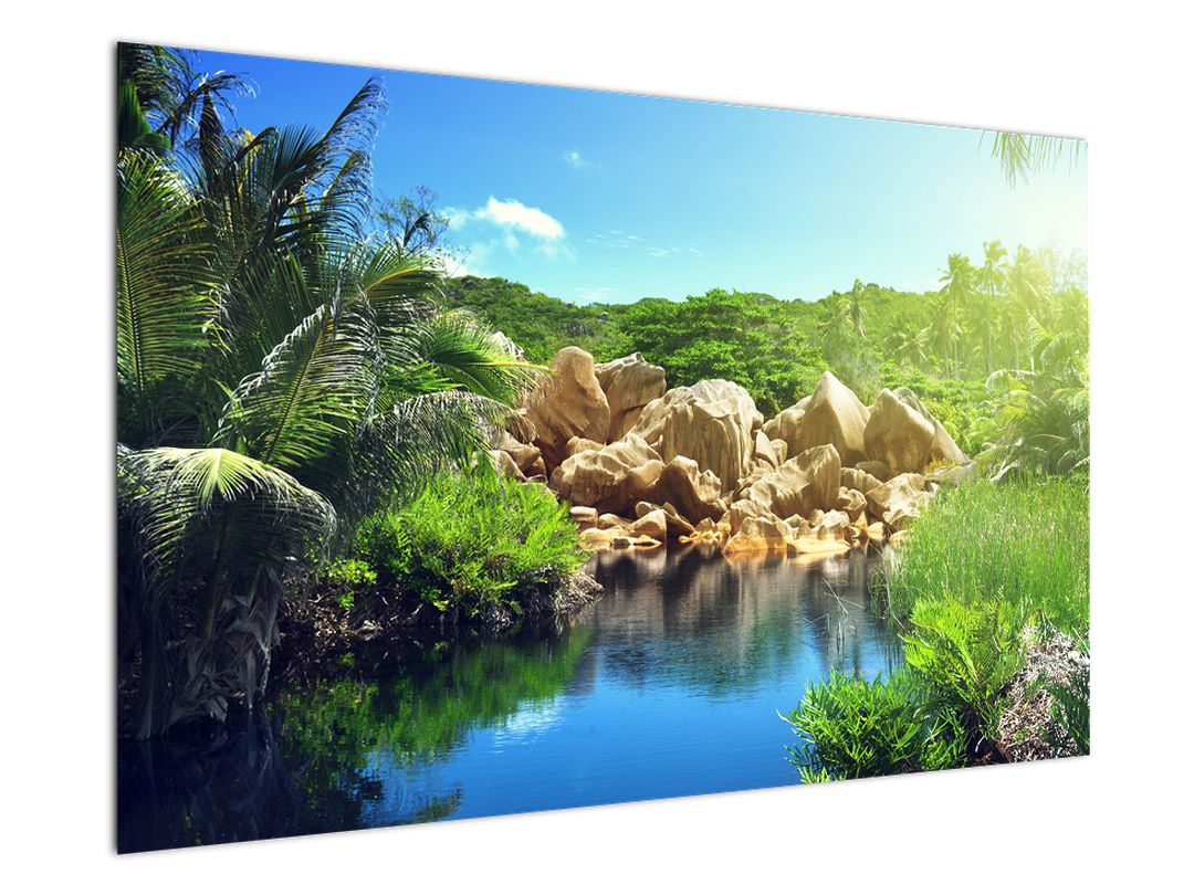 Obraz jezera v Seychelské džungli (V020651V12080)