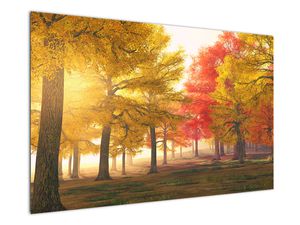 Obraz jesiennych drzew