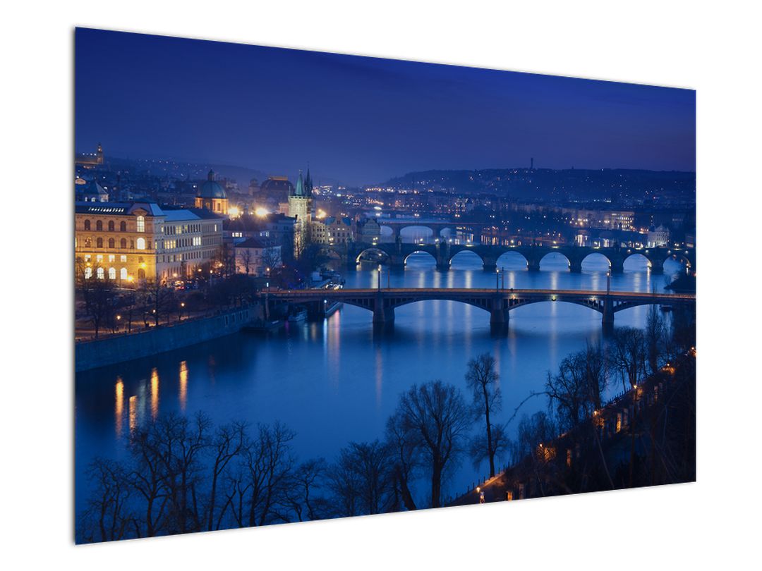 Obraz pražských mostů (V020932V12080)