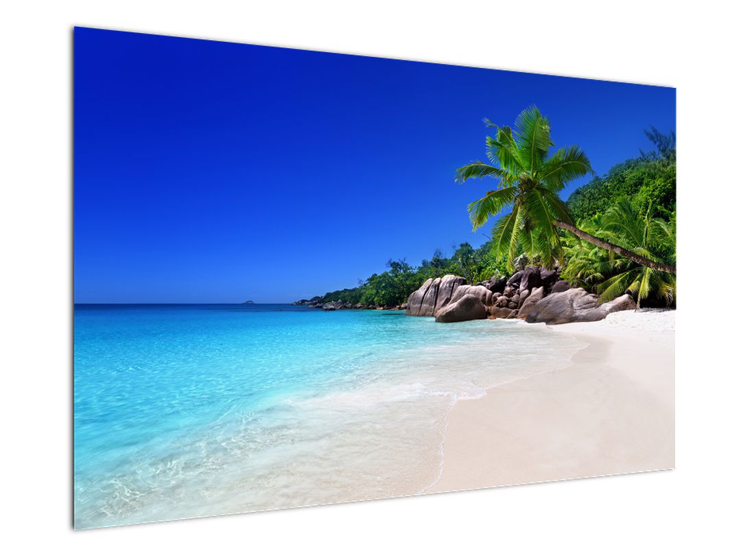 Obraz pláže na Praslin ostrově (V020936V12080)
