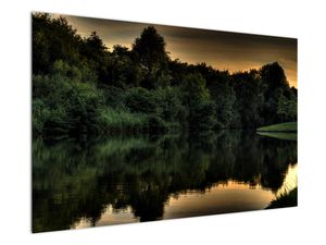 Slika jezera v gozdu