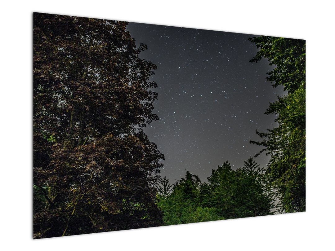 Obraz noční oblohy (V020998V12080)