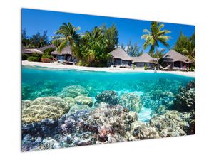 Slika plaže na tropskem otoku