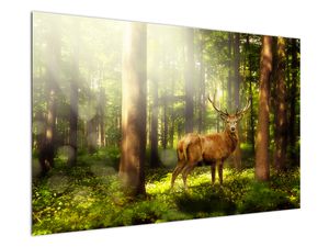 Slika jelena v gozdu