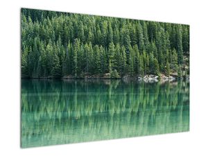 Tablou - Coniferi lângă lac