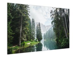 Obraz lesného jazera