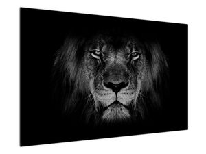 Kép - Az oroszlán és felsége