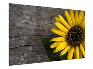 Tablou - Floare de floarea soarelui