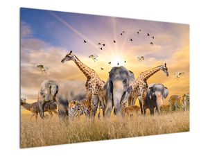 Obraz - Afrykańskie zwierzęta