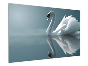 Slika - Bijeli labud