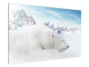 Obraz - Niedźwiedź polarny