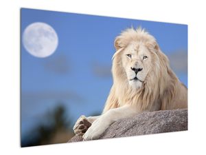 Schilderij - Witte leeuw