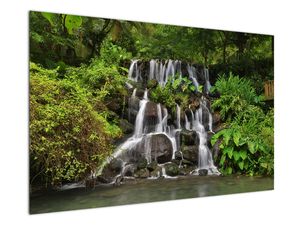 Tablou - Cascadă tropicală
