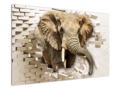 Obraz - słoń taranujący ścianę