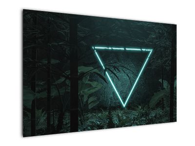 Tablou - Triunghi de neon în junglă