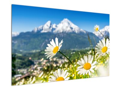 Bild auf Leinwand - Frühling in den Alpen