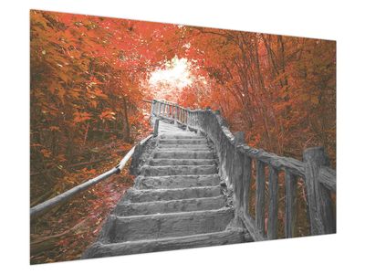 Bild auf Leinwand - Treppe in der Natur, orange
