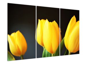 Schilderij - Tulpen