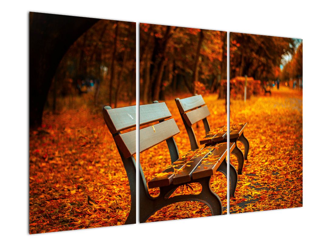 Obraz lavičky v podzimu (V020588V120803PCS)