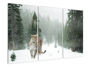 Schilderij - Luipaard in de sneeuw