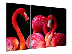 Obraz czerwonych flamingów