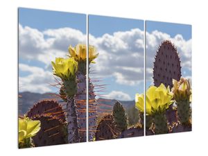 Tablou cu floarea de cactus Opunție