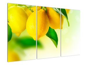 A citrom képe