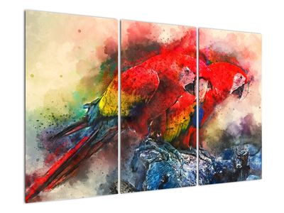 Obraz červených papagájov ara