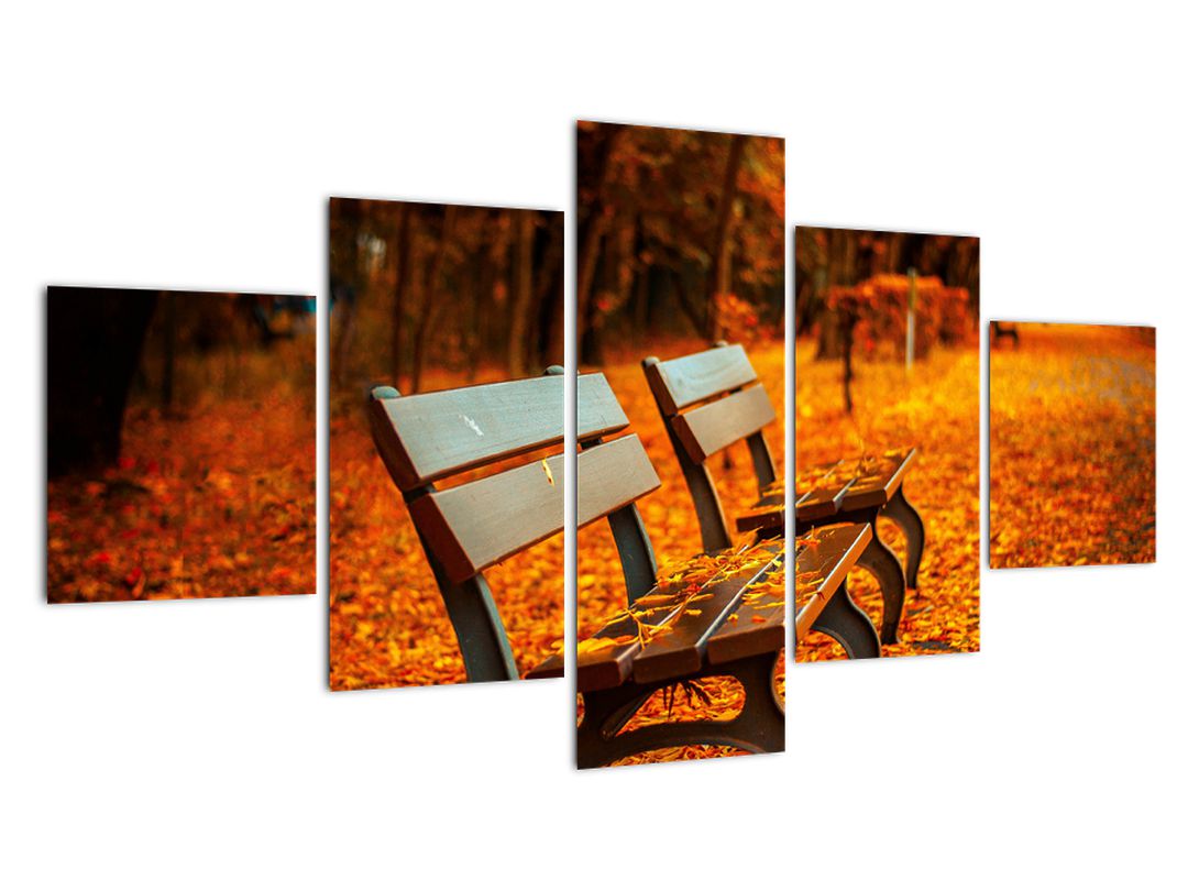 Obraz lavičky v podzimu (V020588V12570)