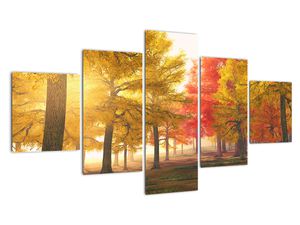 Obraz jesenných stromov