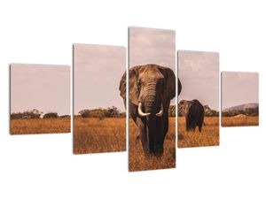 Obraz - Przybycie słonia