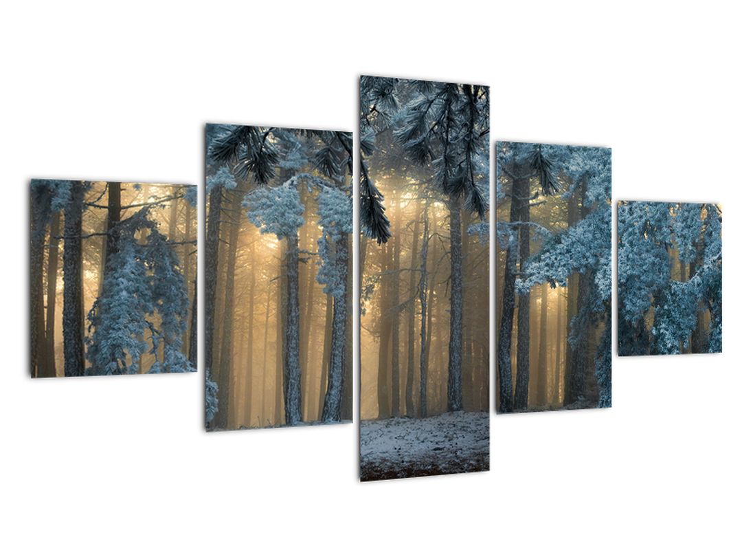 Obraz zasněženého lesa (V022318V12570)