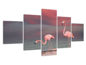 Flamingók képe