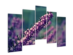 Obraz fialové květiny