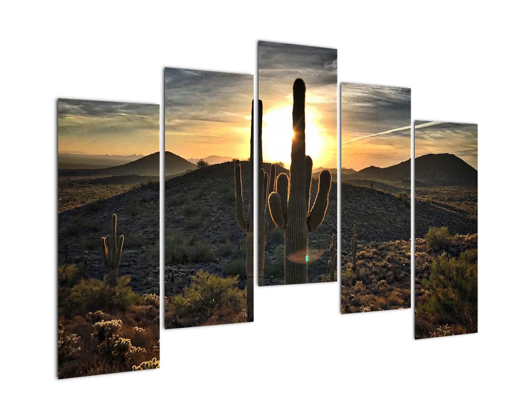 Obraz - kaktusy ve slunci (V020560V12590)
