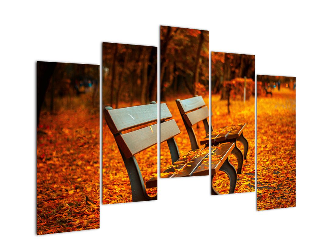 Obraz lavičky v podzimu (V020588V12590)