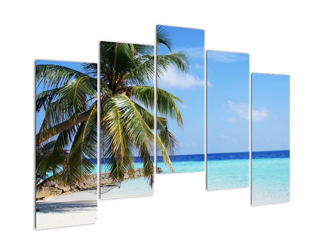 Obraz palmy na pláži (V020612V12590)