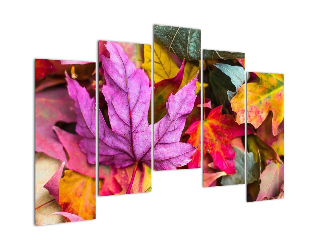 Obraz - podzimní listy (V020629V12590)