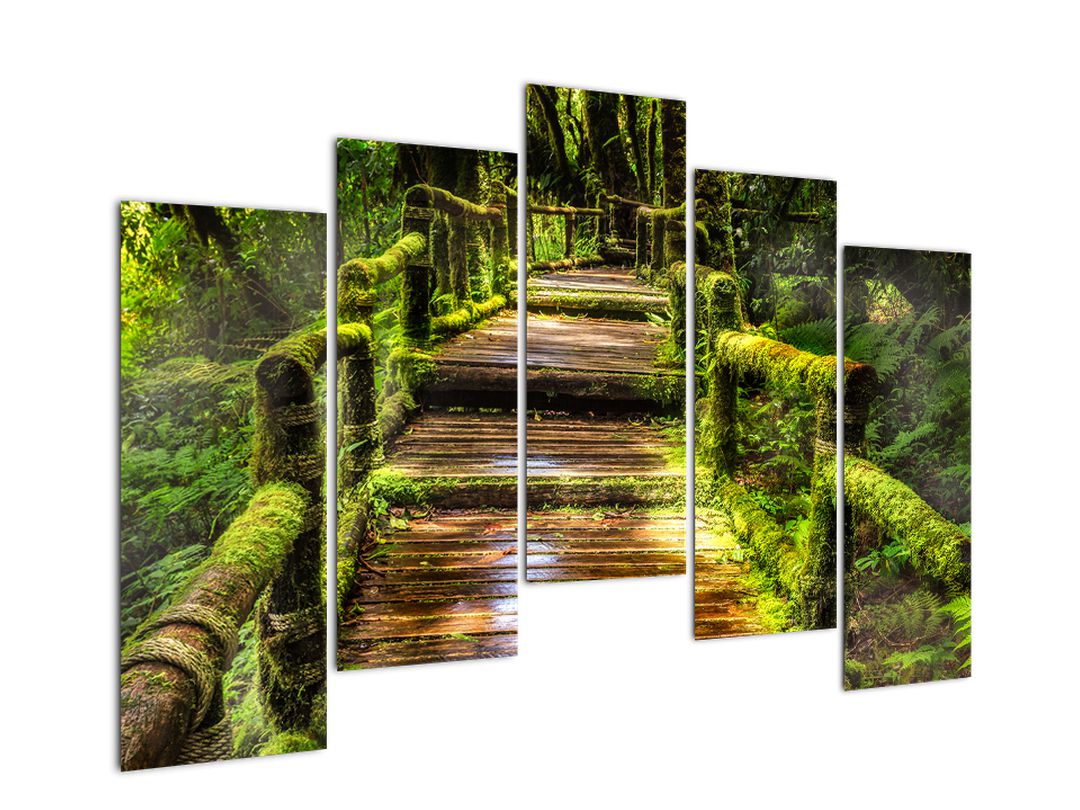 Obraz schodů v deštném pralese (V020941V12590)