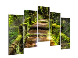Lépcső az esőerdőben képe